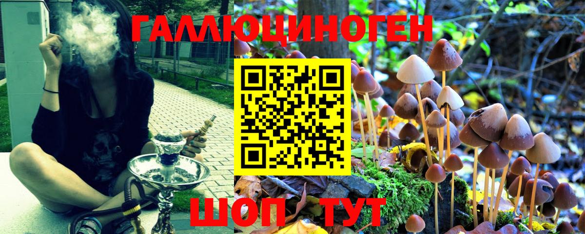 Псилоцибиновые грибы MAGIC MUSHROOMS  Псилоцибиновые грибы MAGIC MUSHROOMS  Вход с VPN  Феодосия 